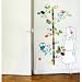 Birdy Height Gauge Growth Chart Wall Stickers-Removable