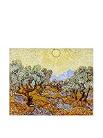Especial Arte Lienzo Olive Trees Multicolor