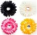 Girls My Little Noggin Set of 4 Large Diamond Gerber Daisy Flower Hair Clip in Cream, Black, Hot Pink & Yellow