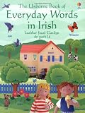 The Usborne book of everyday words in Irish = Leabhar focal Gaeilge do gach lá