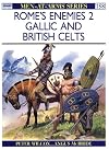Rome's Enemies (2): Gallic and British Celts (Men-at-Arms)