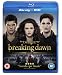 The Twilight Saga: Breaking Dawn - Part 2 (Blu-ray + DVD)