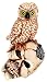 Season's Designs Halloween Decor 14-Inch Resin Owl Sitting on a Skeleton Head with LED Lights