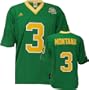 Joe Montana Notre Dame Fighting Irish 30th Anniversary Premier Jersey