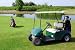 Golf Buggy and Golf Bag - 36"W x 24"H - Peel and Stick Wall Decal by Wallmonkeys