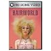 The Pursuit of Excellence: Hair World