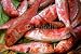 Wallmonkeys Peel and Stick Wall Decals - Salmonetes - Removable Graphic