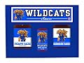 Kentucky Wildcats NCAA Tailgate Kit (5oz Hot Sauce, 16oz BBQ Sauce, 16oz Picante Salsa)