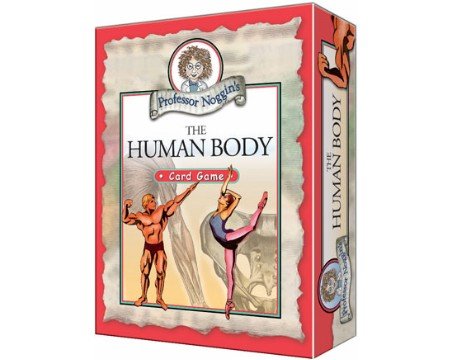 Childrens Toyshop  Toys : Professor Noggins The Human Body Card Game