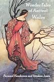 Wonder Tales of Ancient Wales: Celtic Myth and Welsh Fairy Folklore