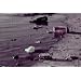 Classic Natural Resources & Conservation Films DVD: 1940s - 1960s History of Land Use, Sustainable Development, Environmental Sustainability, And Water & Soil Conservation Films