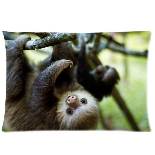 Animals Cute Sloth Hanging In The Tree Design Zippered pillowcase Pillowslip Decorate Sofa Bed Pillow case cover(20*30 inches)