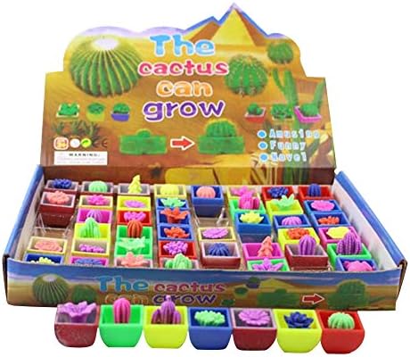 Kyanfire Christmas gift Creative Garden Plant Water Growing Cactus Toys with Flower Pot 48 Pieces (Small)