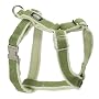 Planet Dog Cozy Hemp Adjustable Harness Apple Green Medium