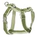 Planet Dog Cozy Hemp Adjustable Harness Apple Green Medium