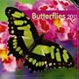 Butterflies 2011 Square 12X12 Wall Calendar (Multilingual Edition)