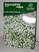 de ree garden treasures gypsophila perennials pk 3 roots