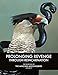 Prolonging Revenge Through Reincarnation: The Paintings of The Mincing Mockingbird Volume III