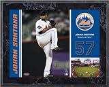 Johan Santana New York Mets 8x10 Color Plaque