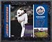 Johan Santana New York Mets 8x10 Color Plaque
