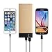 NewNow 20000mAh Power Bank 2 Port USB Portable Charger External Battery Pack for iPhone,iPad,Samsung Galaxy,Nexus,HTC,other Phones and Tablets-Golden