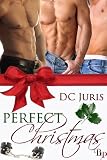 Perfect Christmas