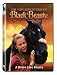 The New Adventures of Black Beauty