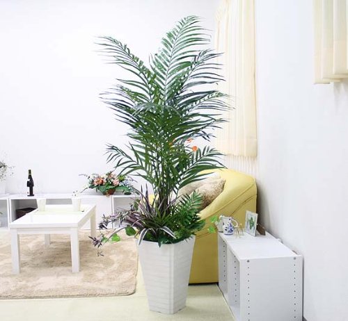 【ブルーミングスケープ】【光触媒】人工 デラックス アレカヤシ 約1.6ｍ オリジナル寄せ植え仕立て+ホワイト陶器鉢カバー