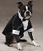 Esc Yappily Ever After Groom Tuxedo Lrg