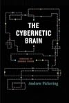 The Cybernetic Brain: Sketches of Ano...