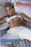 Cruisin` 1: Men on the Make: Falcon Video Adult Gay Video (FVP-59)