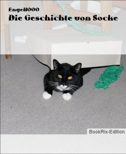 Die Geschichte von Socke (German Edition)