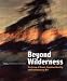 Beyond Wilderness: The Group of Seven, Canadian Identity, and Contemporary Art (Arts Insights Series)