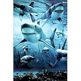 Shark Infested Poster Art Print Poster - 24x36
