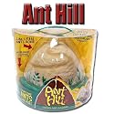 ANT HILL INS05510
