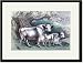 Black Framed/Matted Print 17x23, The White Urus