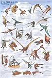 (24x36) Pterosaurs Educational Dinosaur Science Chart Poster