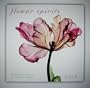 Flower Spirits 2010 Wall Calendar (Calendar)