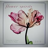Flower Spirits 2010 Wall Calendar (Calendar)