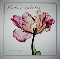 Flower Spirits 2010 Wall Calendar (Calendar)