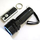 Super-Bright 20 LED Flashlight w/Bonus LED Keychain Compact Body - Jet Black