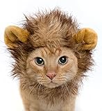 Lion Mane Cat Wig & Small Dog Costume + Feathered Catnip Toy - Limited Time Offer! Great for Halloween!