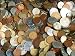 1 Pound World Coin Lot