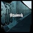 Girug�mesh