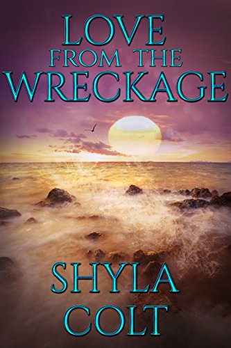 Love From The Wreckage, by Shyla Colt