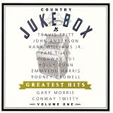 All My Rowdy Friends Are Coming Over Tonight (Album Version)
