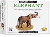 Eyewitness Kit: Elephant