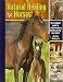 Natural Healing for Horses: The Complete Guide to Complementary Health Care for Your Horse