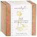 SerendipiTea Fiji, China Green Tea, Pineapple Papaya Cornflower Petals & Natural Flavor, 4-Ounce Box
