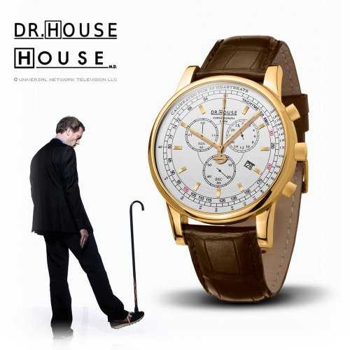 Kronsegler DR.HOUSE Herren Chronograph vergoldet-silbern Preisvergleich